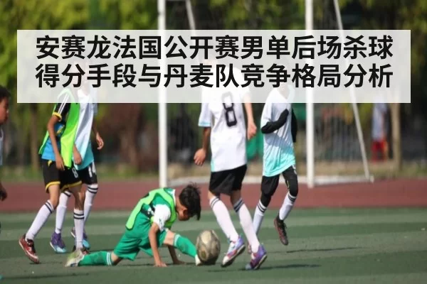 安赛龙法国公开赛男单后场杀球得分手段与丹麦队竞争格局分析